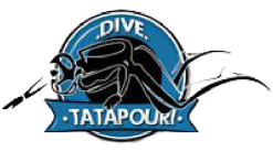 Dive Tatapouri Logo Media